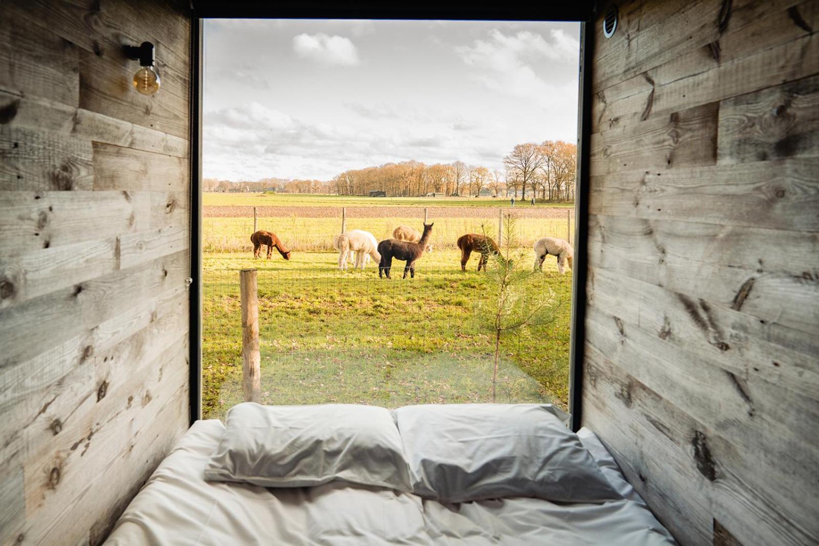 In De Hei Bed & Breakfast Mariahout Eksteriør bilde